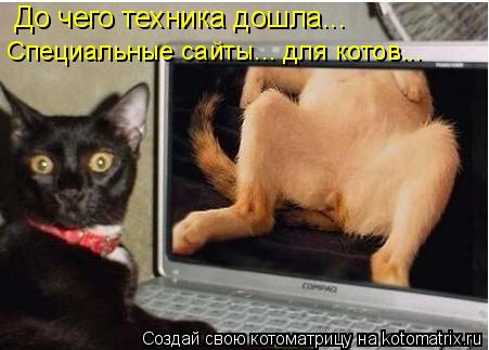 До чего техника дошла... Специальные сайты... для котов...... Котоматрица: До чего техника дошла... Специальные сайты... для котов...