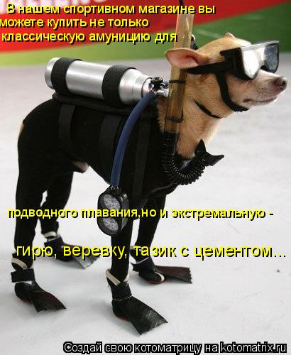 В нашем спортивном магазине вы можете купить не только подводного плавания,но и экстремальную - клас... Котоматрица: В нашем спортивном магазине вы можете купить не только подводного плавания,но и экстремальную - классическую амуницию для гирю, веревку, т