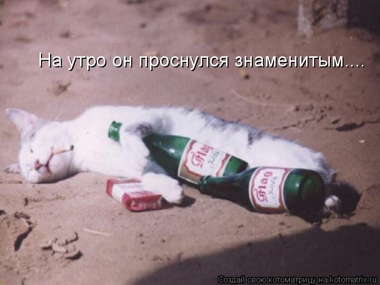 На утро он проснулся знаменитым....... Котоматрица: На утро он проснулся знаменитым....