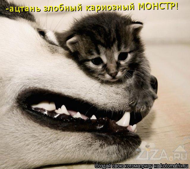 -ацтань злобный кариозный МОНСТР!... Котоматрица: -ацтань злобный кариозный МОНСТР!