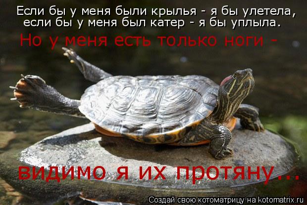 Если бы у меня были крылья - я бы улетела, если бы у меня был катер - я бы уплыла. Но у меня есть тол... Котоматрица: Если бы у меня были крылья - я бы улетела, если бы у меня был катер - я бы уплыла. Но у меня есть только ноги - видимо я их протяну...