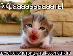 Жраааааааааать!... Котоматрица: Жраааааааааать!