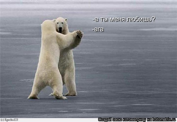 -а ты меня любишь? -ага... Котоматрица: -а ты меня любишь? -ага
