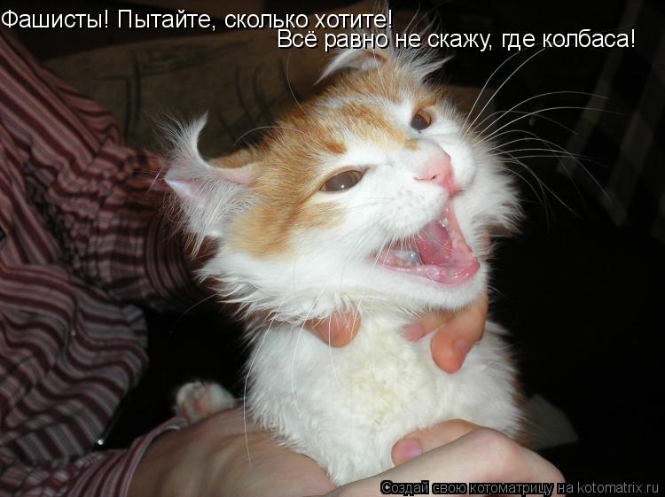 Фашисты! Пытайте, сколько хотите! Всё равно не скажу, где колбаса!... Котоматрица: Фашисты! Пытайте, сколько хотите! Всё равно не скажу, где колбаса!