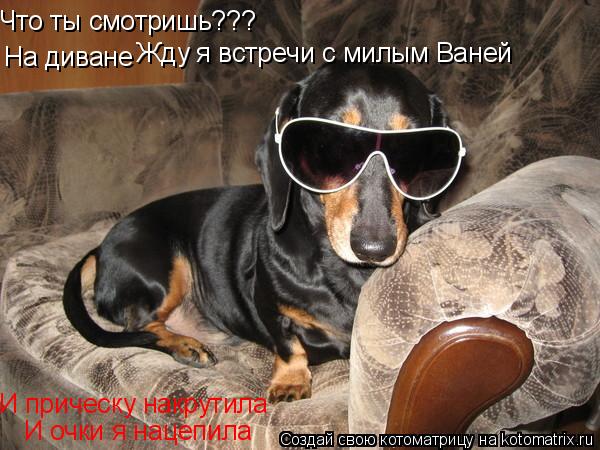 Что ты смотришь??? На диване Жду я встречи с милым Ваней И прическу накрутила И очки я нацепила... Котоматрица: Что ты смотришь??? На диване Жду я встречи с милым Ваней И прическу накрутила И очки я нацепила