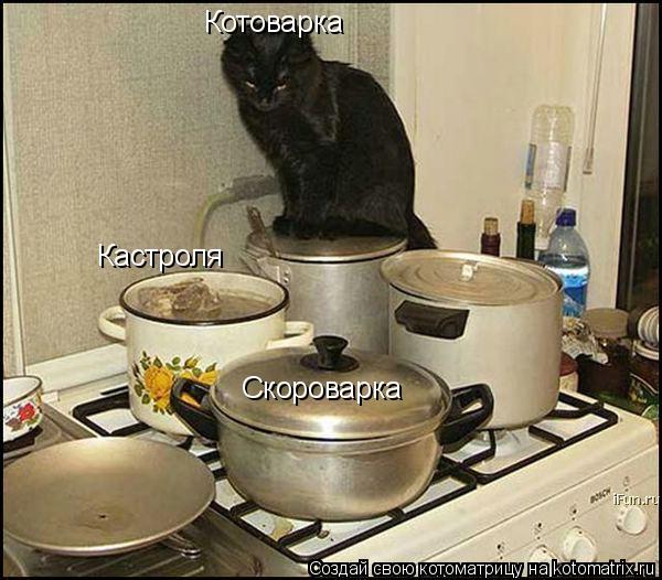 Кастроля Скороварка Котоварка... Котоматрица: Кастроля Скороварка Котоварка