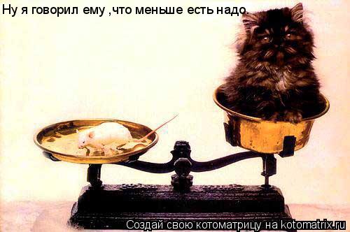 Ну я говорил ему ,что меньше есть надо.... Котоматрица: Ну я говорил ему ,что меньше есть надо.
