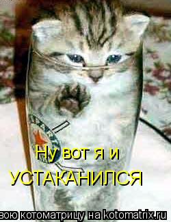 Ну вот я и УСТАКАНИЛСЯ... Котоматрица: Ну вот я и УСТАКАНИЛСЯ