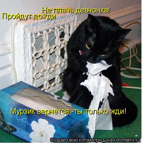 Не плачь,девчонка! Пройдут дожди Мурзик вернётся,-ты только жди!... Котоматрица: Не плачь,девчонка! Пройдут дожди Мурзик вернётся,-ты только жди!