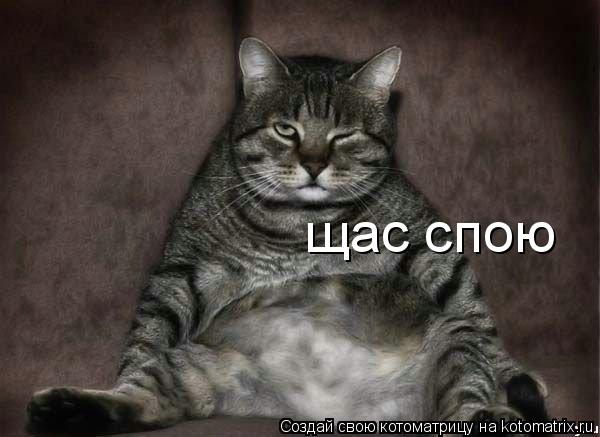 щас спою... Котоматрица: щас спою