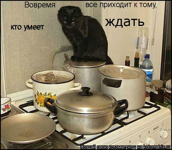 все приходит к тому, кто умеет кто умеет ждать Вовремя... Котоматрица: все приходит к тому, кто умеет кто умеет ждать Вовремя