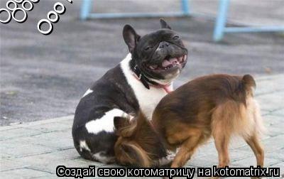 Ооо кайф Ооо кайф Ооо кайф Ооо кайф Ооо кайф... Котоматрица: Ооо кайф Ооо кайф Ооо кайф Ооо кайф Ооо кайф