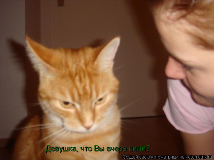 Девушка, что Вы вчера пили?... Котоматрица: Девушка, что Вы вчера пили?