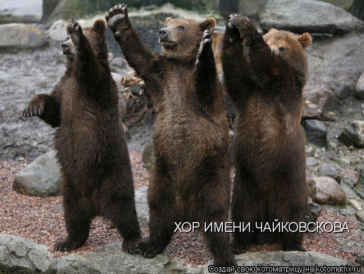 ХОР ИМЕНИ.ЧАЙКОВСКОВА... Котоматрица: ХОР ИМЕНИ.ЧАЙКОВСКОВА