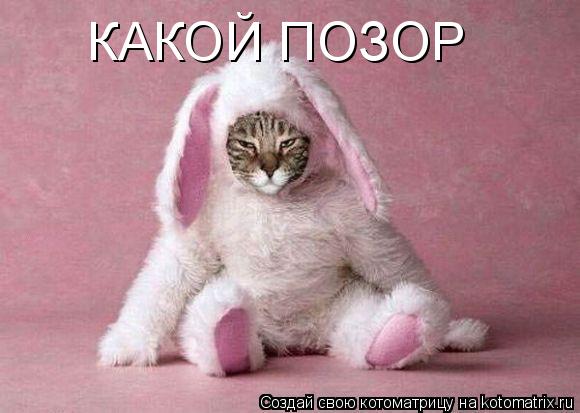 КАКОЙ ПОЗОР... Котоматрица: КАКОЙ ПОЗОР