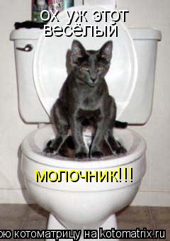 ох уж этот весёлый молочник!!!... Котоматрица: ох уж этот весёлый молочник!!!