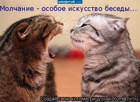 Молчание - особое искусство беседы...... Котоматрица: Молчание - особое искусство беседы...