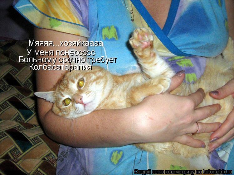Мяяяя...хозяйкаааа У меня понессссс Больному срочно требует Колбасатерапия... Котоматрица: Мяяяя...хозяйкаааа У меня понессссс Больному срочно требует Колбасатерапия