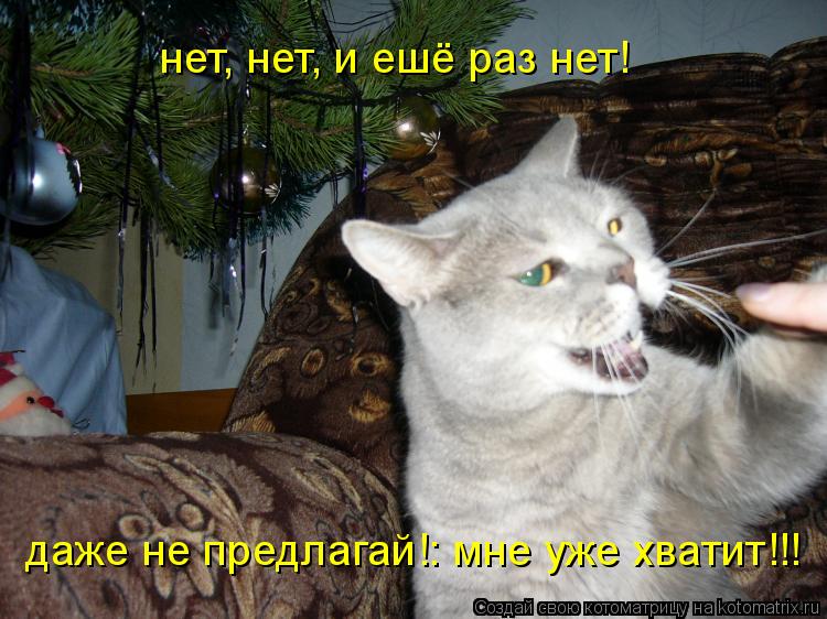нет, нет, и ешё раз нет! даже не предлагай!: мне уже хватит!!!... Котоматрица: нет, нет, и ешё раз нет! даже не предлагай!: мне уже хватит!!!