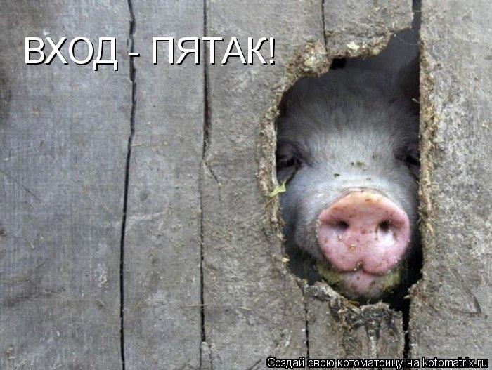 ВХОД - ПЯТАК!... Котоматрица: ВХОД - ПЯТАК!