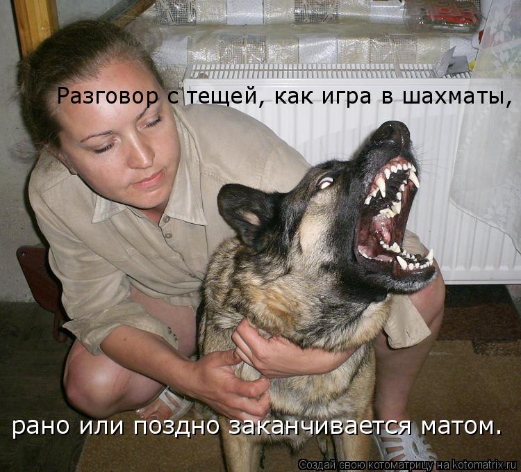 рано или поздно заканчивается матом. Разговор с тещей, как игра в шахматы,... Котоматрица: рано или поздно заканчивается матом. Разговор с тещей, как игра в шахматы,