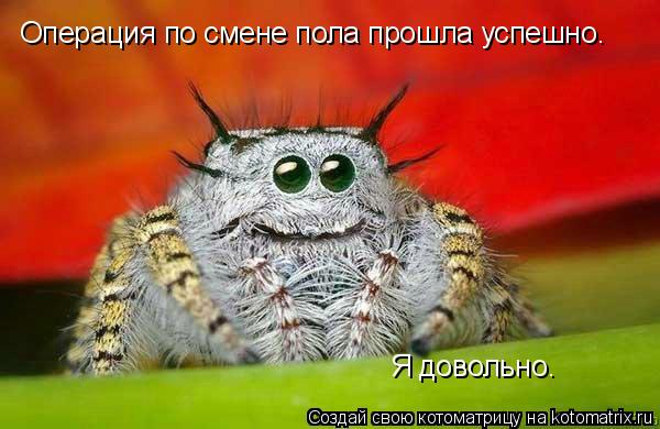 Операция по смене пола прошла успешно. Я довольно.... Котоматрица: Операция по смене пола прошла успешно. Я довольно.