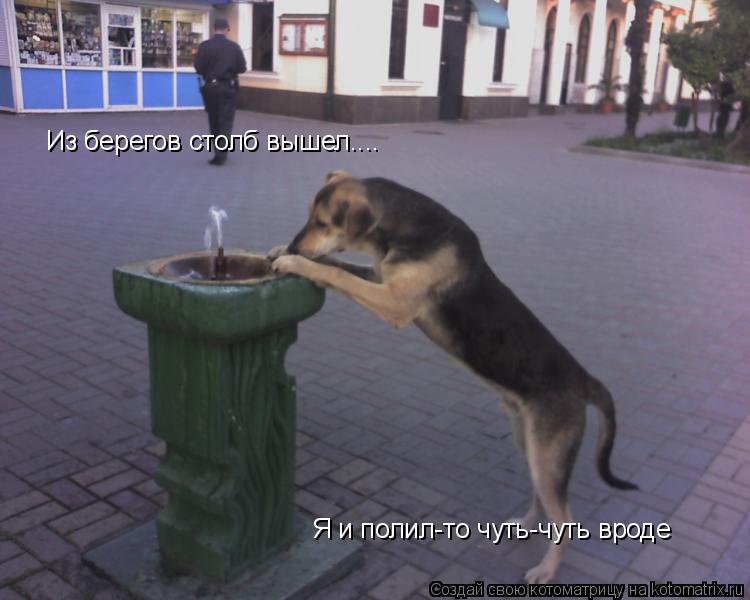 Из берегов столб вышел.... Я и полил-то чуть-чуть вроде... Котоматрица: Из берегов столб вышел.... Я и полил-то чуть-чуть вроде