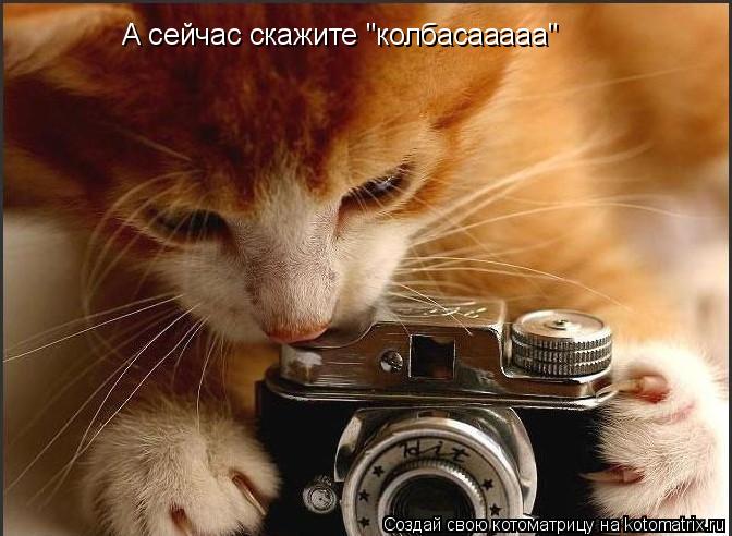А сейчас скажите "колбасааааа"... Котоматрица: А сейчас скажите "колбасааааа"