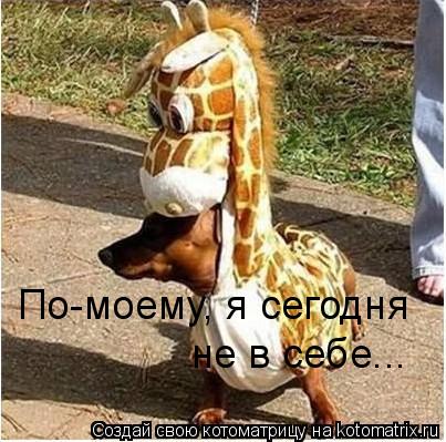 По-моему, я сегодня не в себе...... Котоматрица: По-моему, я сегодня не в себе...