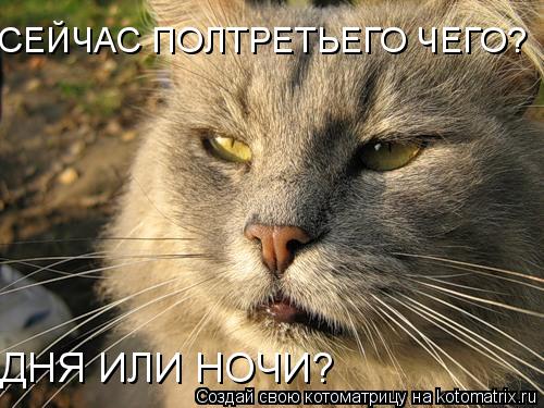 СЕЙЧАС ПОЛТРЕТЬЕГО ЧЕГО? ДНЯ ИЛИ НОЧИ?... Котоматрица: СЕЙЧАС ПОЛТРЕТЬЕГО ЧЕГО? ДНЯ ИЛИ НОЧИ?