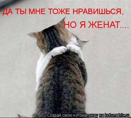 НО Я ЖЕНАТ.... ДА ТЫ МНЕ ТОЖЕ НРАВИШЬСЯ,... Котоматрица: НО Я ЖЕНАТ.... ДА ТЫ МНЕ ТОЖЕ НРАВИШЬСЯ,
