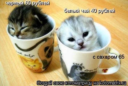 черный 60 рублей белый чай 40 рублей с сахаром 65... Котоматрица: черный 60 рублей белый чай 40 рублей с сахаром 65