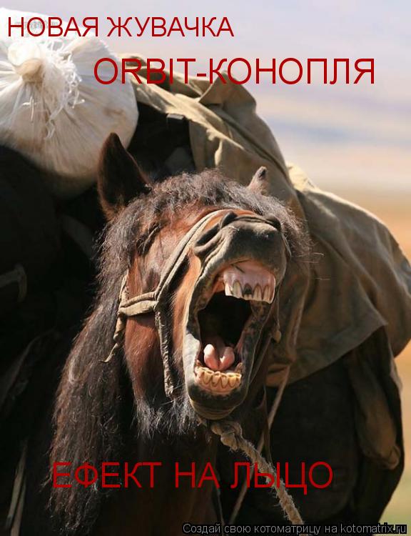 НОВАЯ ЖУВАЧКА ORBIT-КОНОПЛЯ ЕФЕКТ НА ЛЫЦО... Котоматрица: НОВАЯ ЖУВАЧКА ORBIT-КОНОПЛЯ ЕФЕКТ НА ЛЫЦО
