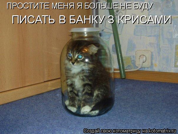 ПРОСТИТЕ МЕНЯ Я БОЛЬШЕ НЕ БУДУ ПИСАТЬ В БАНКУ З КРИСАМИ... Котоматрица: ПРОСТИТЕ МЕНЯ Я БОЛЬШЕ НЕ БУДУ ПИСАТЬ В БАНКУ З КРИСАМИ