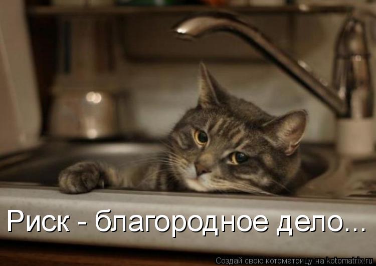 Риск - благородное дело...... Котоматрица: Риск - благородное дело...
