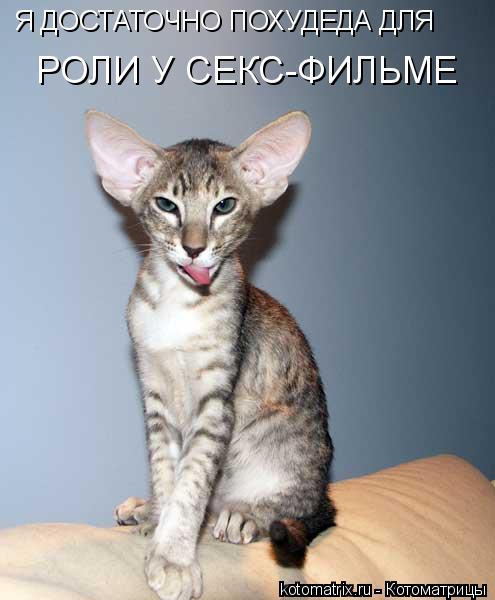 Я ДОСТАТОЧНО ПОХУДЕДА ДЛЯ РОЛИ У СЕКС-ФИЛЬМЕ... Котоматрица: Я ДОСТАТОЧНО ПОХУДЕДА ДЛЯ РОЛИ У СЕКС-ФИЛЬМЕ