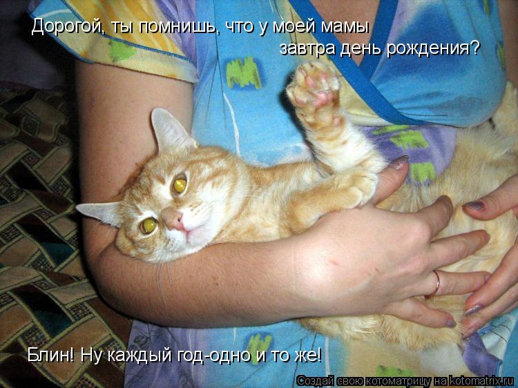 Дорогой, ты помнишь, что у моей мамы завтра день рождения? Блин! Ну каждый год-одно и то же!... Котоматрица: Дорогой, ты помнишь, что у моей мамы завтра день рождения? Блин! Ну каждый год-одно и то же!