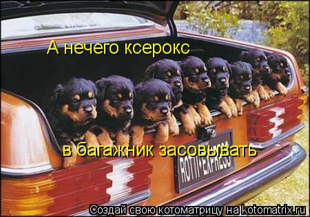 А нечего ксерокс в багажник засовывать... Котоматрица: А нечего ксерокс в багажник засовывать