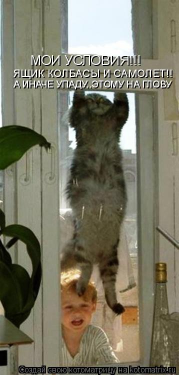 МОИ УСЛОВИЯ!!! ЯЩИК КОЛБАСЫ И САМОЛЕТ!! А ИНАЧЕ УПАДУ..ЭТОМУ НА ГЛОВУ... Котоматрица: МОИ УСЛОВИЯ!!! ЯЩИК КОЛБАСЫ И САМОЛЕТ!! А ИНАЧЕ УПАДУ..ЭТОМУ НА ГЛОВУ