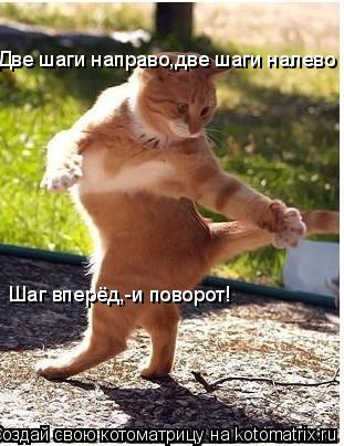 Две шаги направо,две шаги налево Шаг вперёд,-и поворот!... Котоматрица: Две шаги направо,две шаги налево Шаг вперёд,-и поворот!
