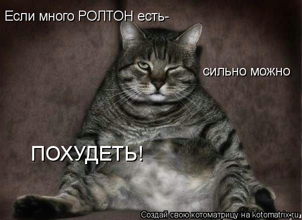 Если много РОЛТОН есть- сильно можно ПОХУДЕТЬ!... Котоматрица: Если много РОЛТОН есть- сильно можно ПОХУДЕТЬ!