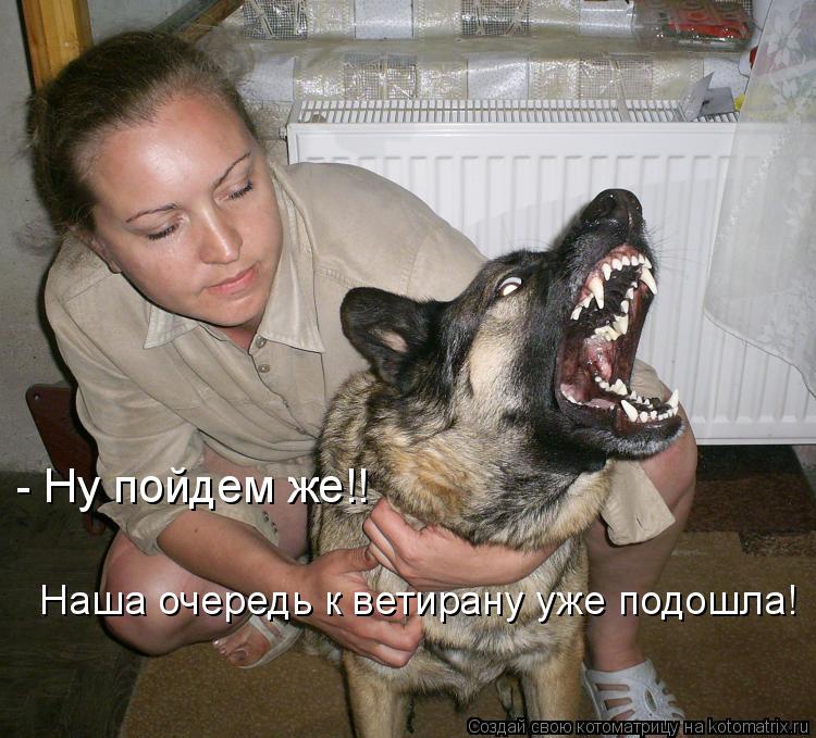 - Ну пойдем же!! Наша очередь к ветирану уже подошла!... Котоматрица: - Ну пойдем же!! Наша очередь к ветирану уже подошла!