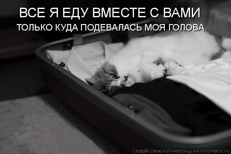ВСЕ Я ЕДУ ВМЕСТЕ С ВАМИ ТОЛЬКО КУДА ПОДЕВАЛАСЬ МОЯ ГОЛОВА... Котоматрица: ВСЕ Я ЕДУ ВМЕСТЕ С ВАМИ ТОЛЬКО КУДА ПОДЕВАЛАСЬ МОЯ ГОЛОВА