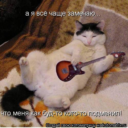 а я всё чаще замечаю... что меня как буд-то кото-то подменил!... Котоматрица: а я всё чаще замечаю... что меня как буд-то кото-то подменил!