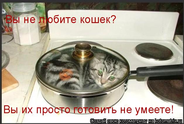 Вы не любите кошек? Вы их просто готовить не умеете!... Котоматрица: Вы не любите кошек? Вы их просто готовить не умеете!