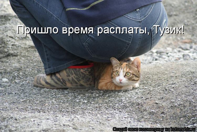 Пришло время расплаты, Тузик!... Котоматрица: Пришло время расплаты, Тузик!