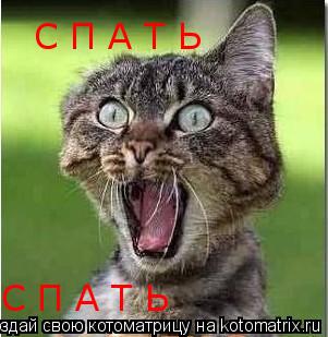 С П А Т Ь С П А Т Ь... Котоматрица: С П А Т Ь С П А Т Ь
