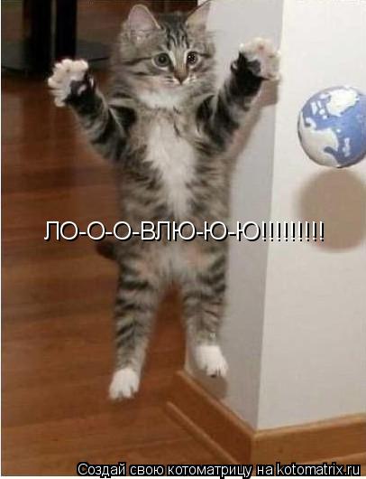 Котоматрица: ЛО-О-О-ВЛЮ-Ю-Ю!!!!!!!!!