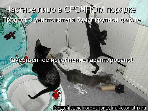 Частное лицо в СРОЧНОМ порядке Продаст 3 уничтожителя бумаг крупной фирме Качественное исполнение га... Котоматрица: Частное лицо в СРОЧНОМ порядке Продаст 3 уничтожителя бумаг крупной фирме Качественное исполнение гарантировано!
