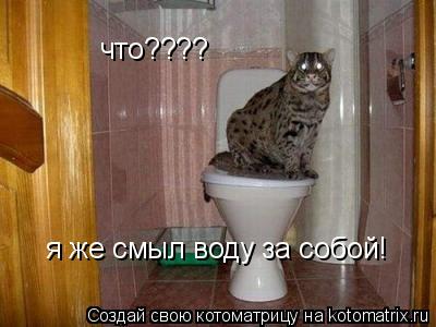 что???? я же смыл воду за собой!... Котоматрица: что???? я же смыл воду за собой!